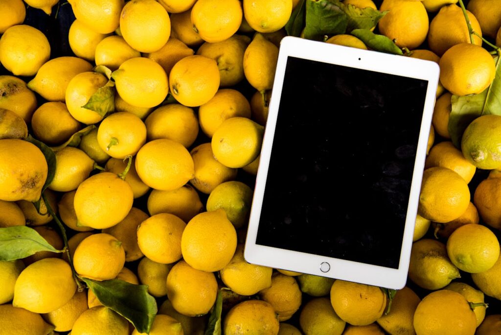 Is een refurbished iPad duurzaam?